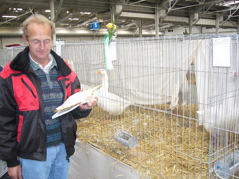 Hannover 2008 154.jpg - Diepholser Gänse von Otto Killat Preis HV 96 LVP